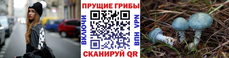 Галлюциногенные грибы GOLDEN TEACHER купить наркоту Болхов